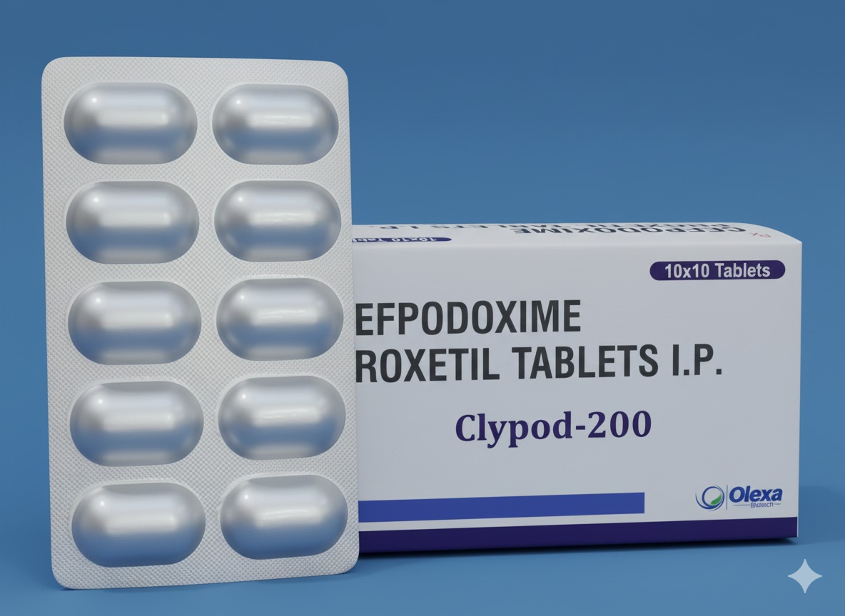 WhatsApp Image 2025-10-05 at 17.36.09